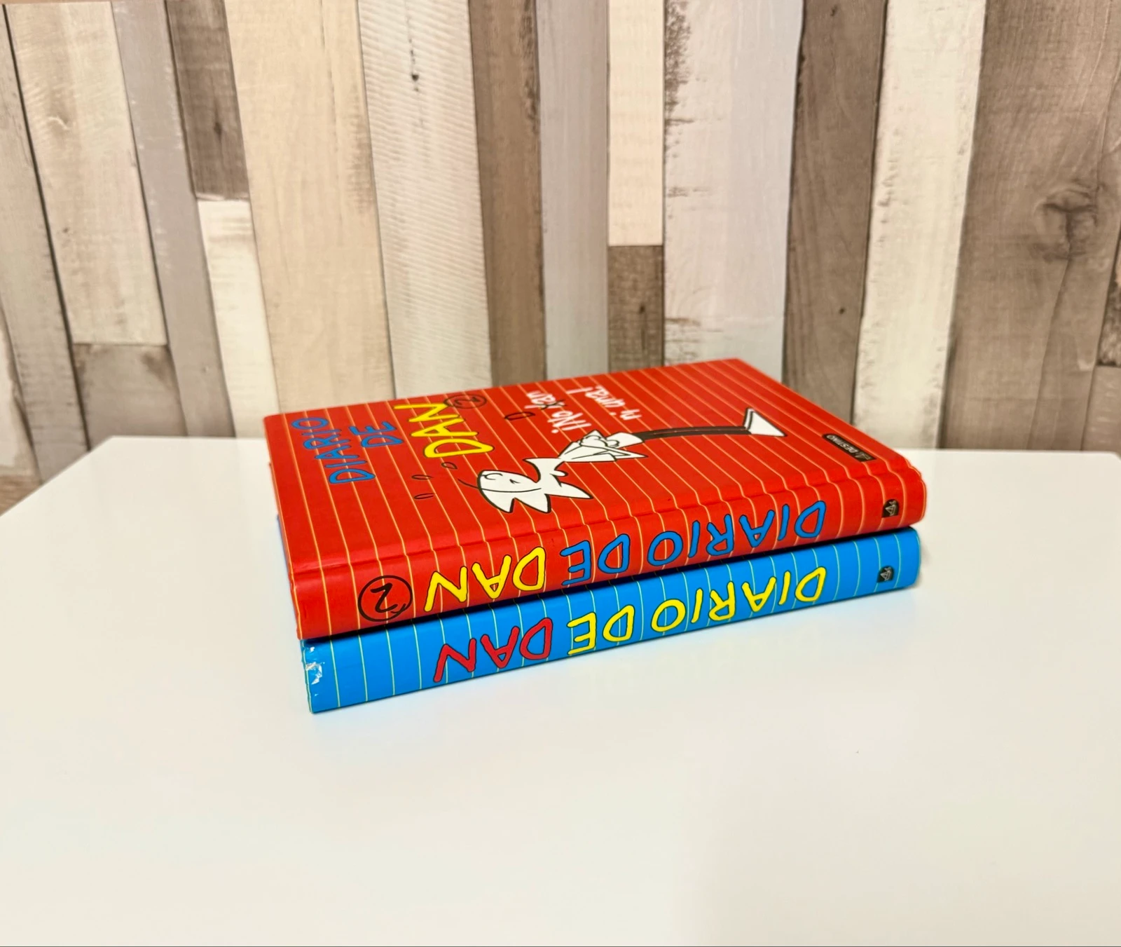 Dan's Diary Books 1 and 2 – photo 3